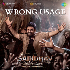 Wrong Usage Lyrics – Saindhav